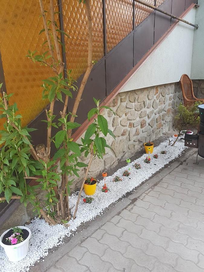 Nimrod Vendeghaz Sopron Hotel Ngoại thất bức ảnh
